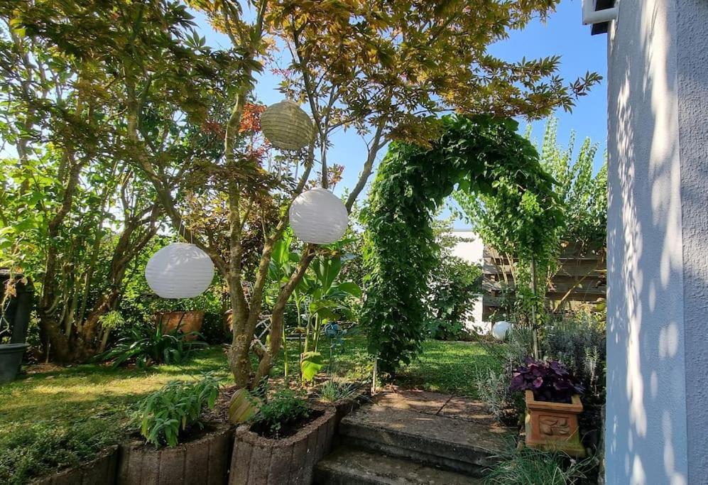 Ferienwohnung Ulli'S Oase Uettingen Exterior foto